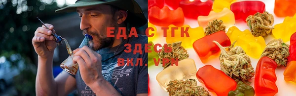 ГАЛЛЮЦИНОГЕННЫЕ ГРИБЫ Белокуриха