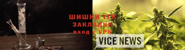 ГАЛЛЮЦИНОГЕННЫЕ ГРИБЫ Белокуриха