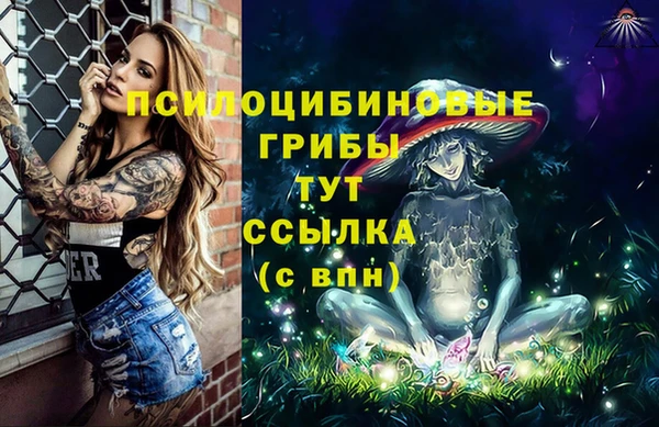 ГАЛЛЮЦИНОГЕННЫЕ ГРИБЫ Белокуриха