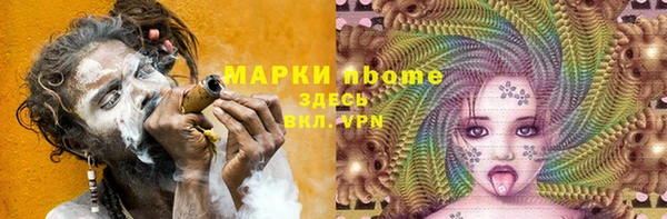 ГАЛЛЮЦИНОГЕННЫЕ ГРИБЫ Белокуриха