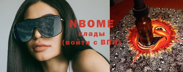 ГАЛЛЮЦИНОГЕННЫЕ ГРИБЫ Белокуриха